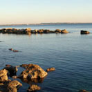 Clicca per ingrandire